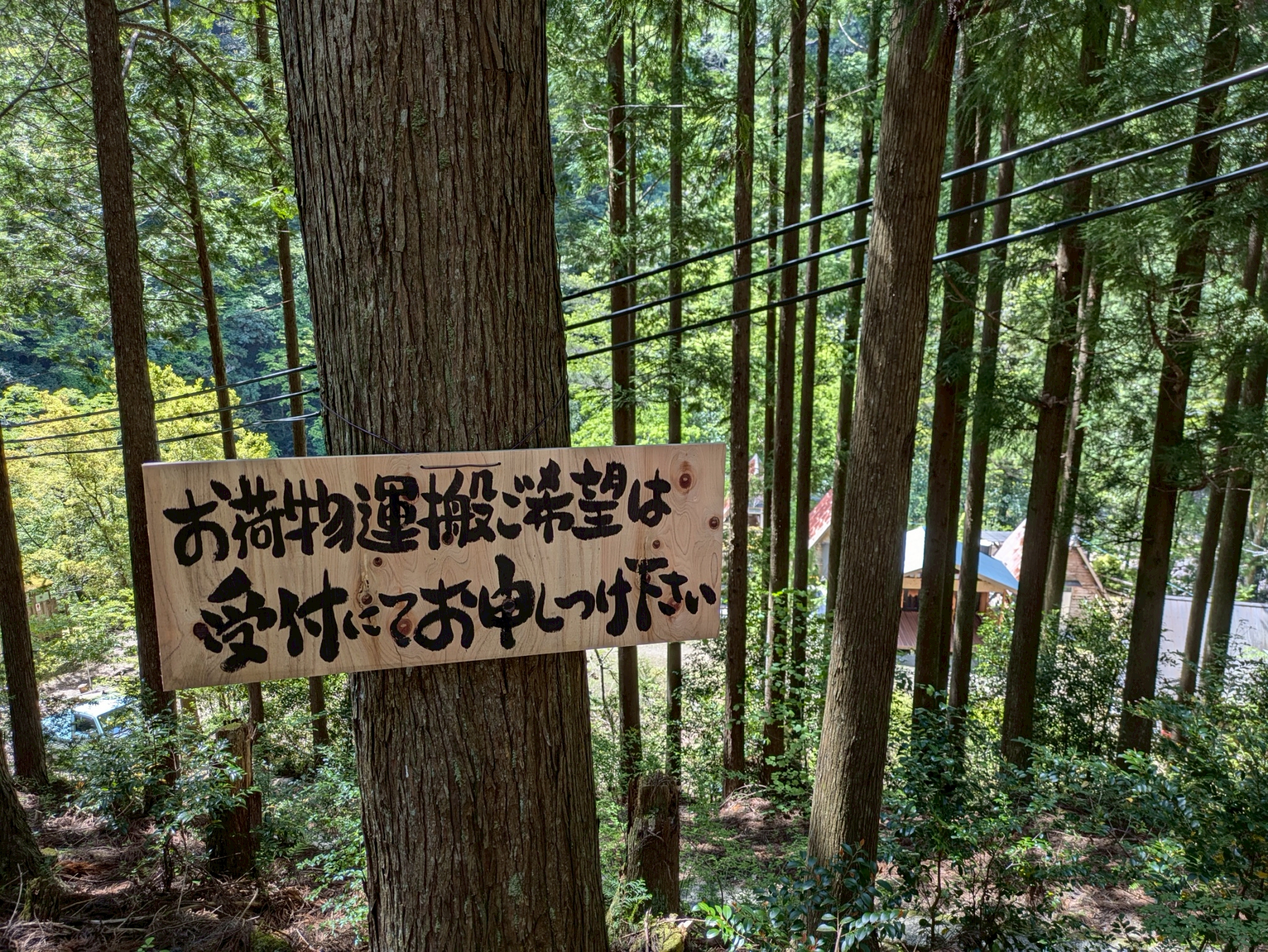 バンガロー 室内の画像
